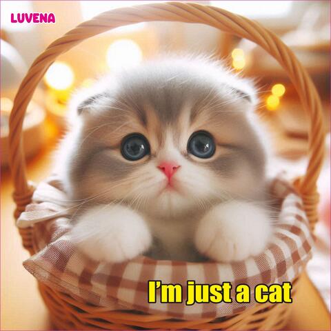 I'm just a cat