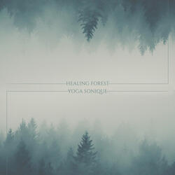 Healing Forest