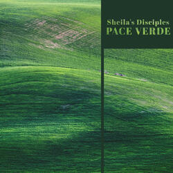 Pace Verde