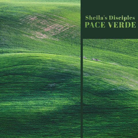 Pace Verde
