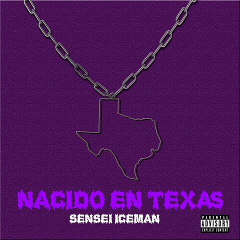 Nacido En Texas (Chopped And Screwed)