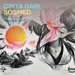 Cinta dari sosmed