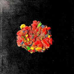 Could you please please me all night long