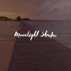 Moonlight Shadow