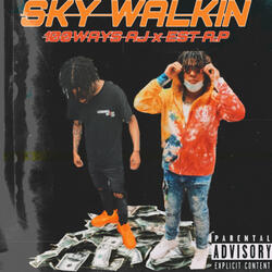Sky Walkin