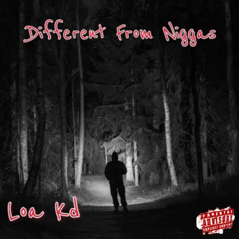 Different From Niggas
