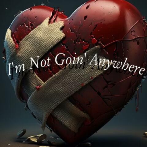 I’m Not Going Anywhere