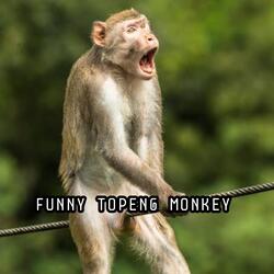 FUNNY TOPENG MONKEY