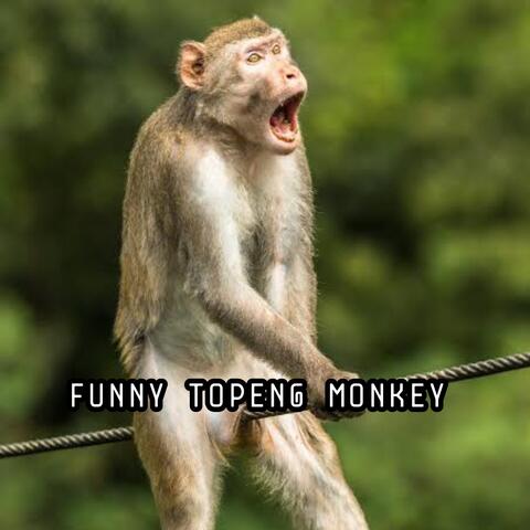 FUNNY TOPENG MONKEY