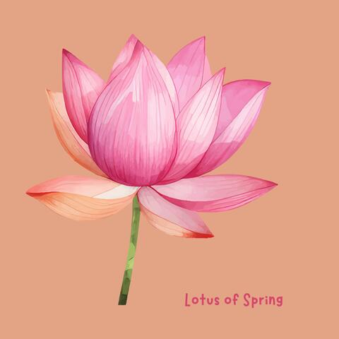 Lotus of Spring