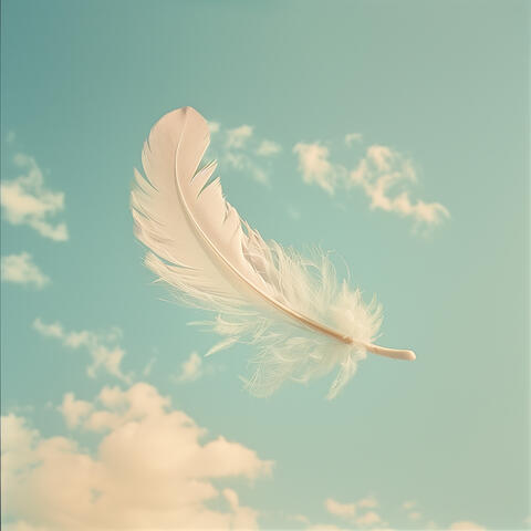 Weightless Wonder