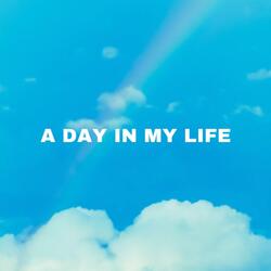 A Day In My Life