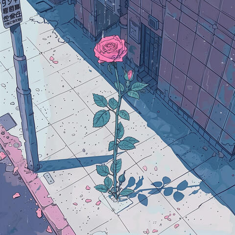 Kiss from a Rose