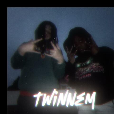 Twin Nem