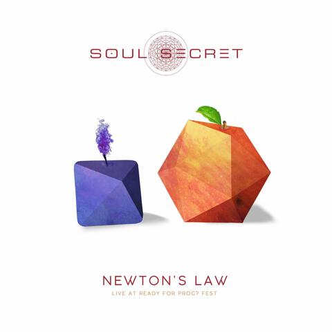 Newton's Law