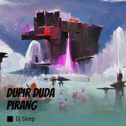 Dupir duda pirang