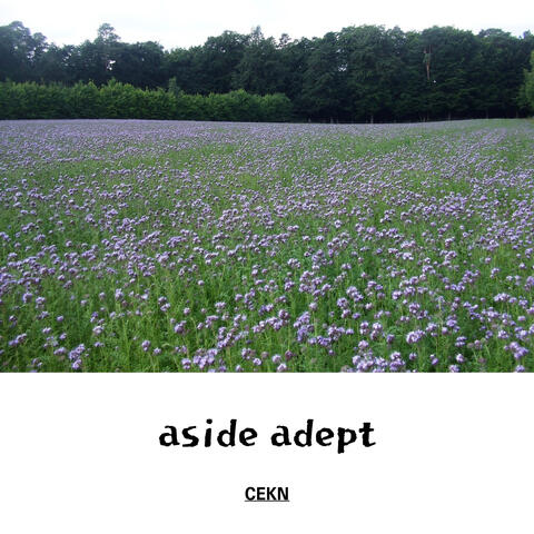 aside adept