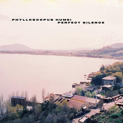 Perfect Silence
