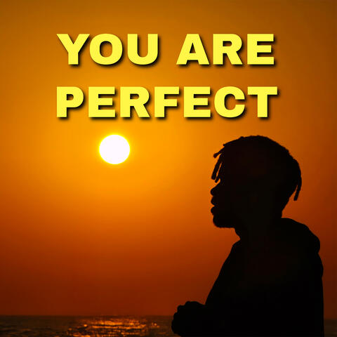 You Are Perfect