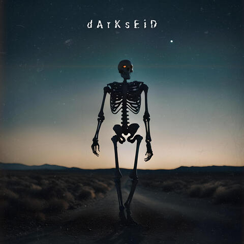 d A r K s E i D