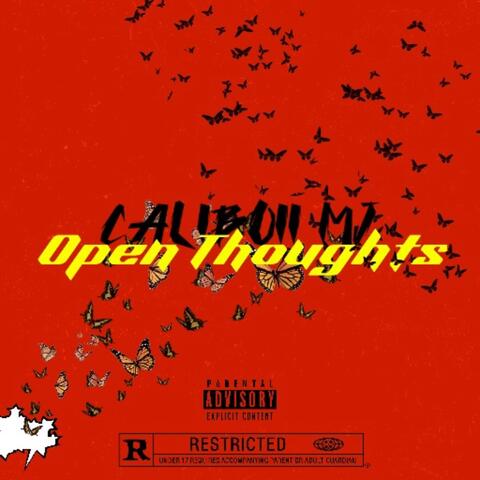 Open Thoughts