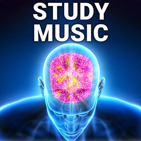 Study Music - More Concentration and Focus when Studying