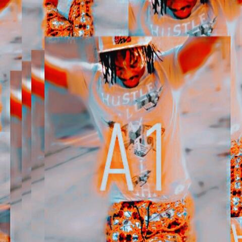 A1