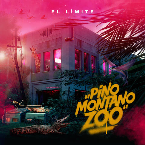 Limite