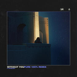 Without You