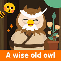 A wise old owl