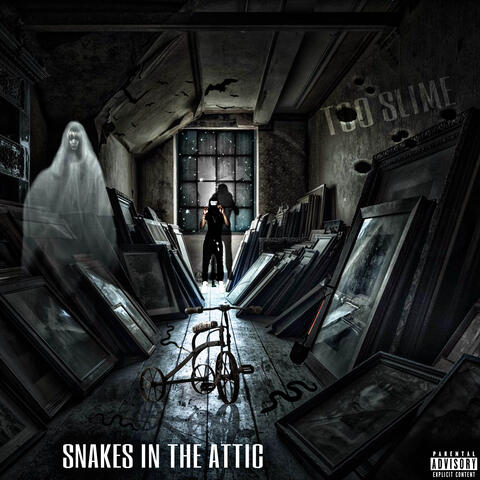Snakes In The Attic