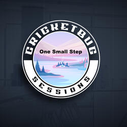 One Small Step