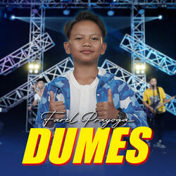 Dumes