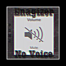 No Voice