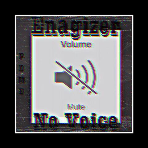 No Voice