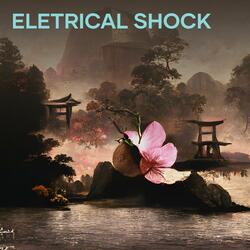 Eletrical Shock
