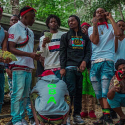 Bakk