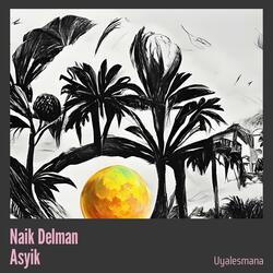 Naik Delman Asyik