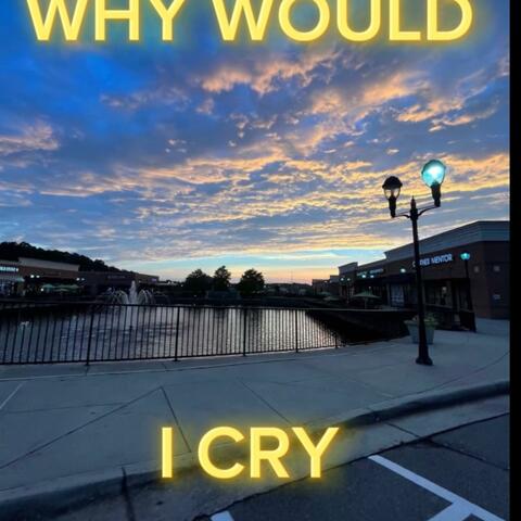 Why Would I Cry