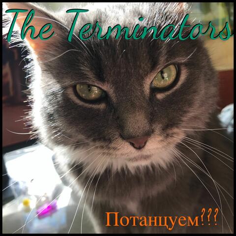 Потанцуем???