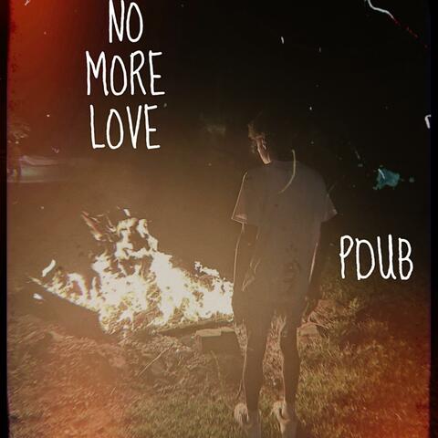 P-Dub