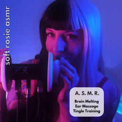 A.S.M.R. Brain Melting Ear Massage Tingle Training, Pt. 14