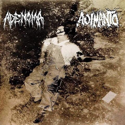 Adenoma/ Aoi Manto split