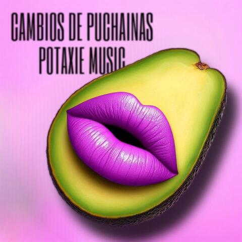 Cambios de Puchainas