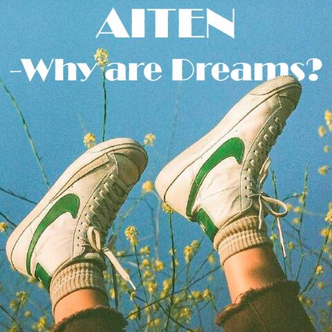 Why Are Dreams