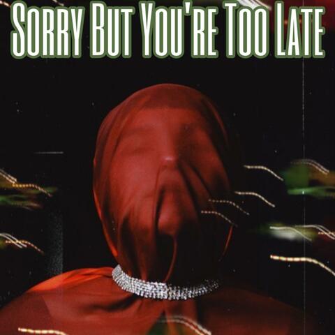 Sorry But You're Too Late