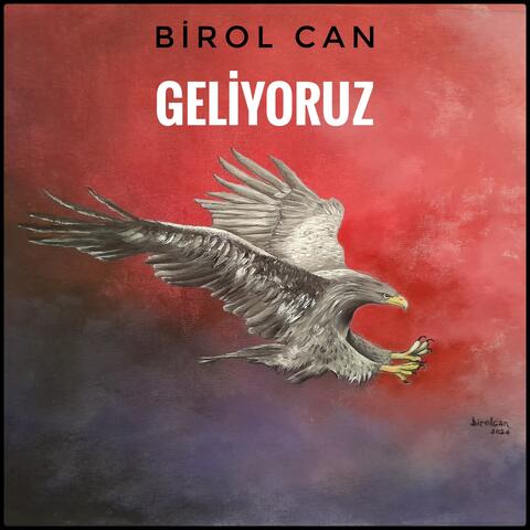 Geliyoruz