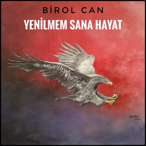 Yenilmem Sana Hayat