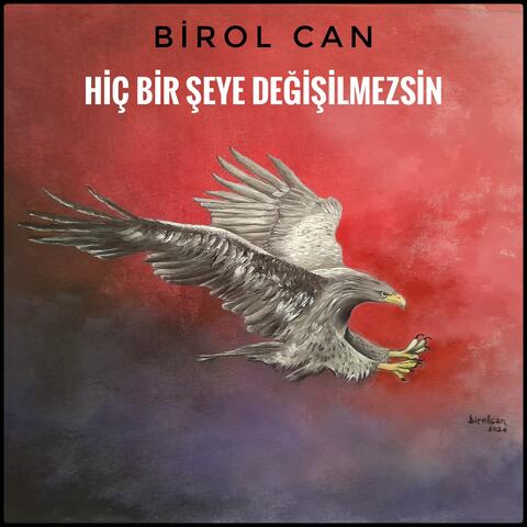 Hiç Bir Şeye Değişilmezsin
