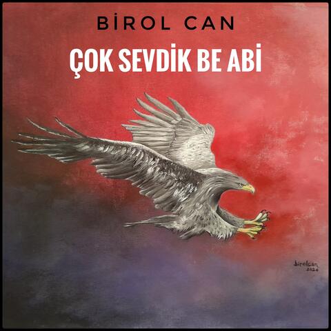Çok Sevdik Be Abi